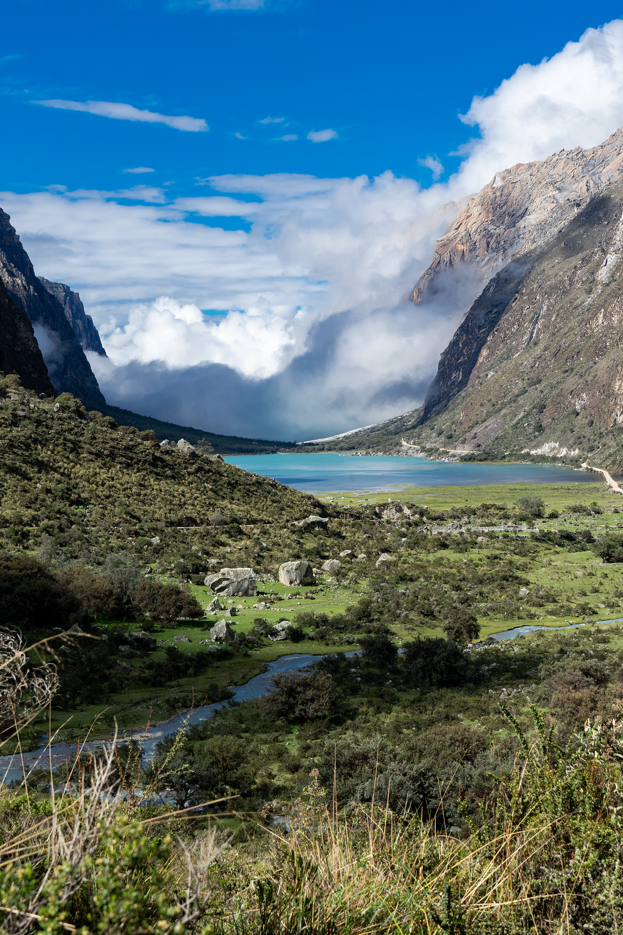 Login to your account